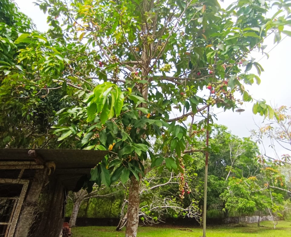 CASA EN VENTA EN LOS ALTOS DE SANTA FE, SUCRE