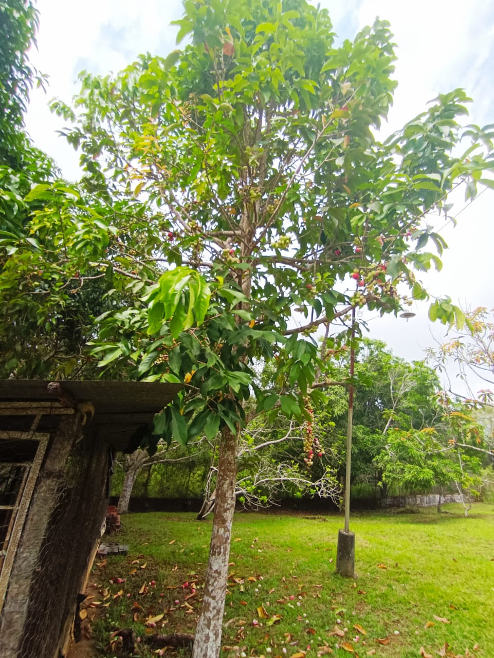 CASA EN VENTA EN LOS ALTOS DE SANTA FE, SUCRE